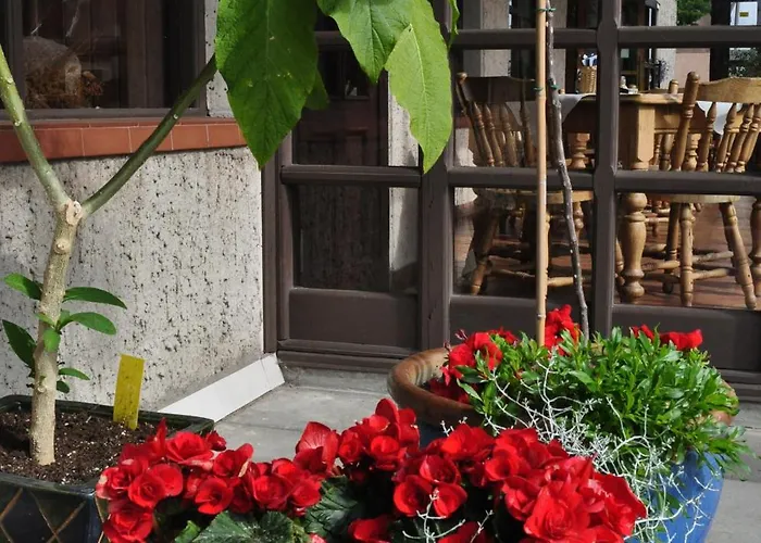 Molo Uzeiga Klaipėda