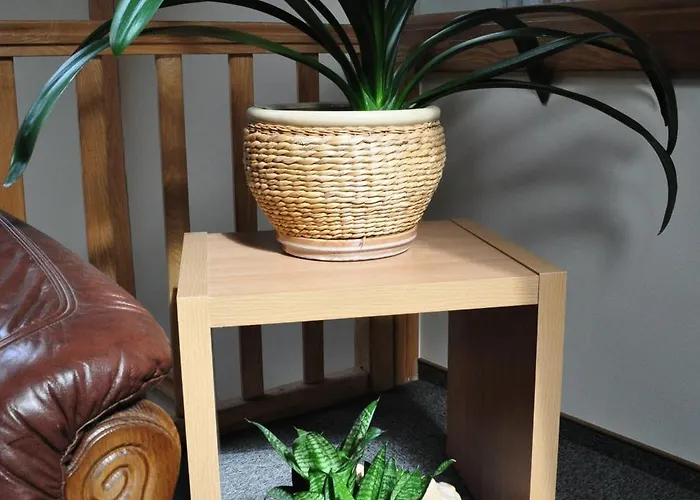 Casa de hóspedes Molo Uzeiga 3*